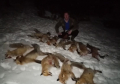 Lovci iz Nove Varoši odstrelili 19 lisica koje su napadale živinu i divljač: Čekali u zasedi satima